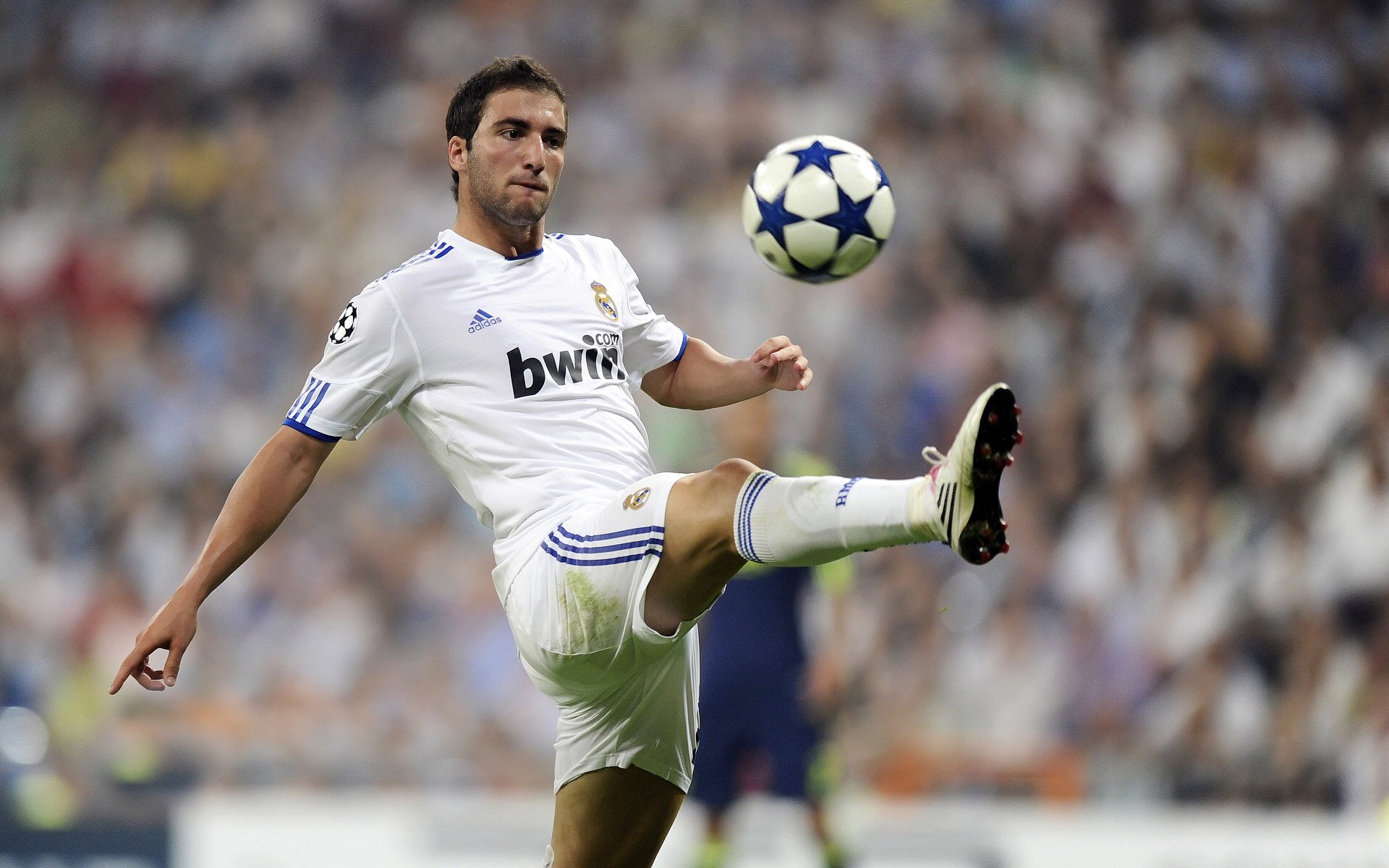 冷雨夜的闪电战,坎塞洛导演完美防反,德国战车险遭保加利亚倾覆
